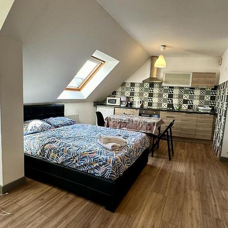 Appartement 4 Personnes En Plein Centre De 科尔马 外观 照片