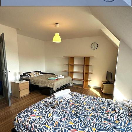 Appartement 4 Personnes En Plein Centre De 科尔马 外观 照片