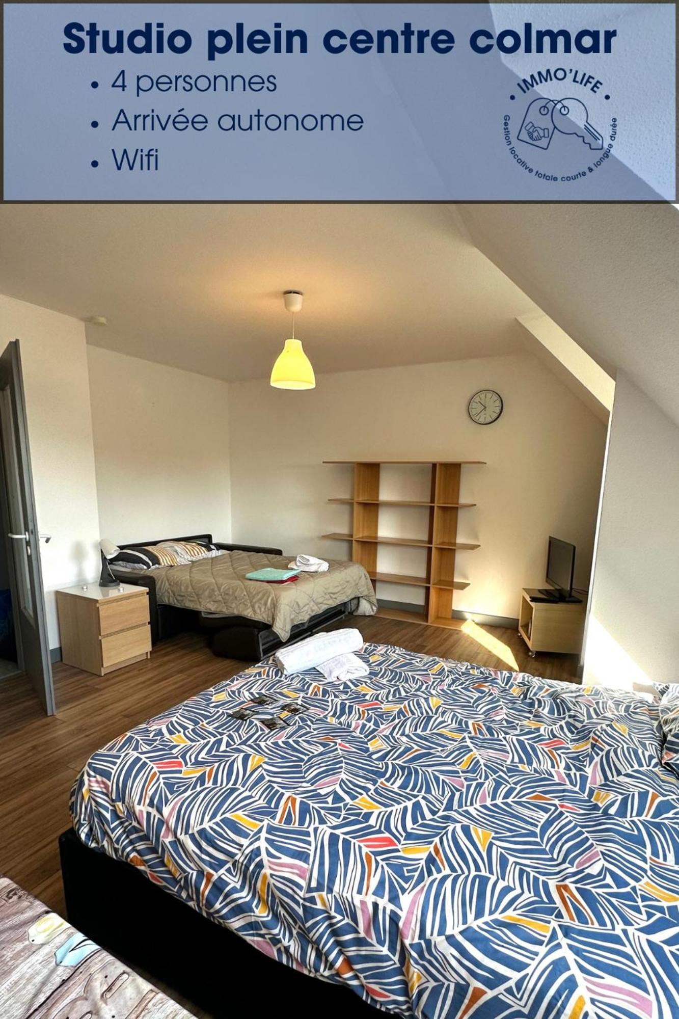 Appartement 4 Personnes En Plein Centre De 科尔马 外观 照片